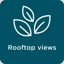 Rooftop views